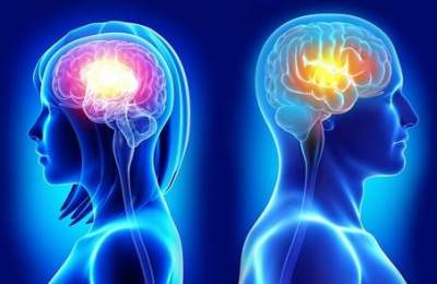 آیا تفاوتی بین مغز مرد و زن وجود دارد؟